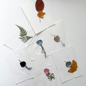 Flat lay of wax-sealed envelopes with pressed leaves offering artistic elegance on a white background.